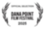 DPFF - 2025 - Official Selection.jpg