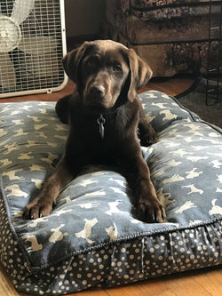 Coco (Girl) - Spring 2018