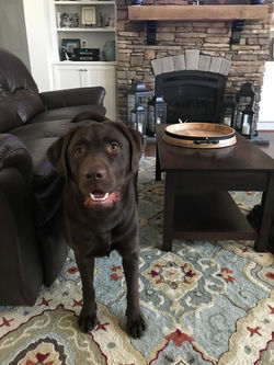 Remi