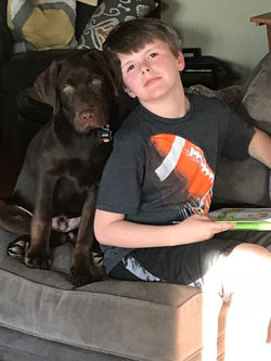 Dozer - Spring 2018