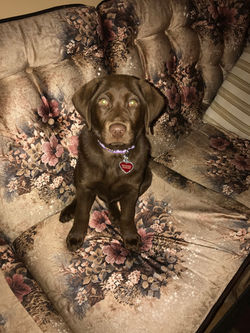 Baby Coco