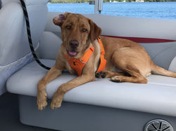 Tucker - Summer 2018