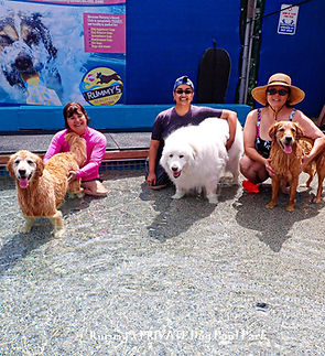 5-1-22 - Tania Monge therapy dog birthday party (50).jpg