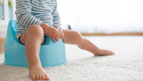 Potty training - What you need (and what you don't)