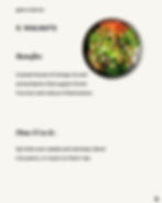 Mediterranean Diet Food List: Beginner Friendly