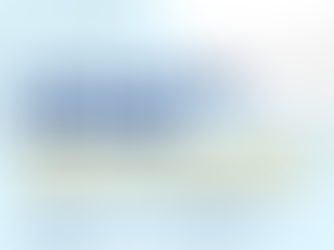 In 2025, Unitedwords students received offers from prestigious universities across the globe. From the United States to the Netherlands, and from the United Kingdom to Canada, dozens of success stories were written in many countries.