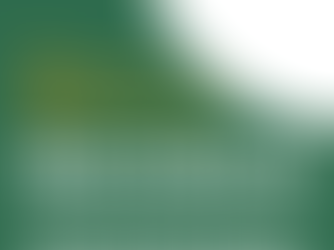 Discover Universities in Barcelona