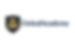unitedacademy_logo_298_194.png