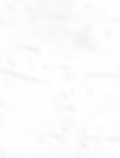 grain overlay white.jpg