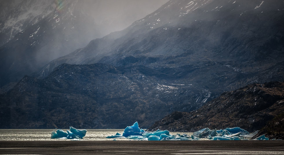Thumbnail: PHOTO SAFARI – WILDLIFE & LANDSCAPES IN TORRES DEL PAINE (5 DAYS) - CHILE