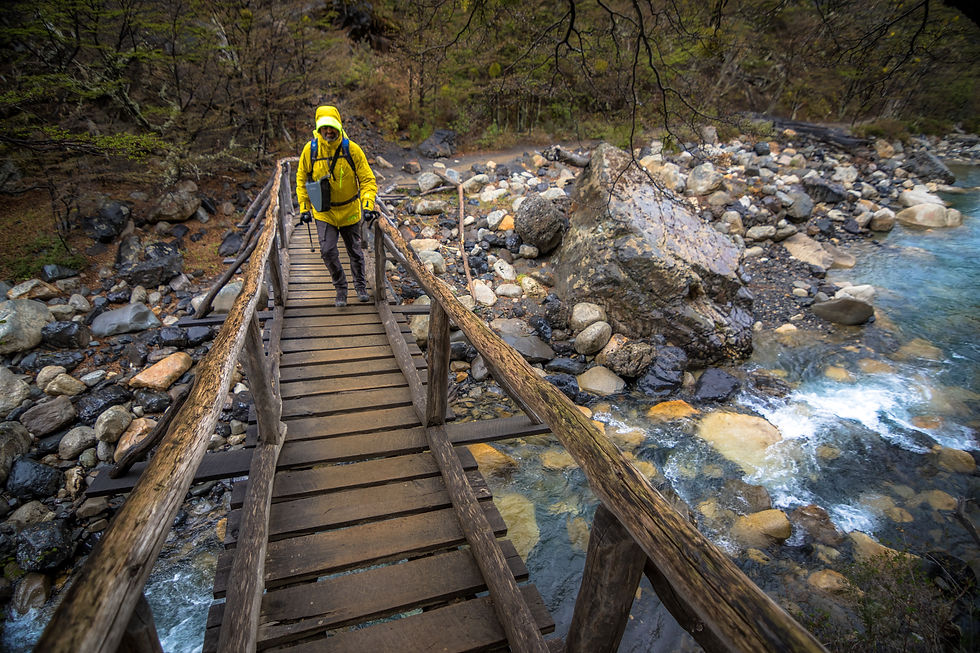 Thumbnail: WINTER DISCOVERING TORRES DEL PAINE (3 DAYS )