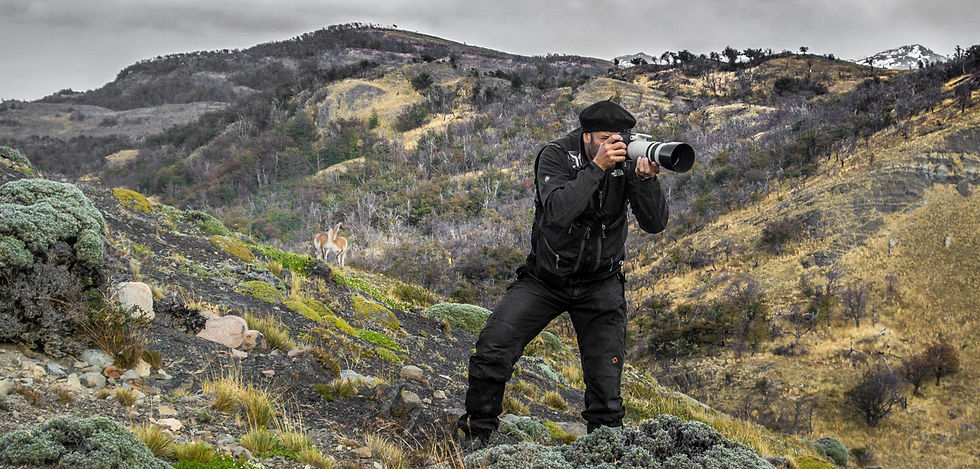 Thumbnail: PHOTO SAFARI – WILDLIFE & LANDSCAPES IN TORRES DEL PAINE (5 DAYS) - CHILE
