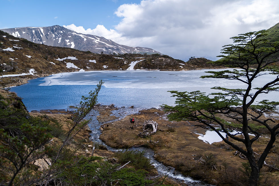 Thumbnail: DIENTES DE NAVARINO TREK (6 DAYS)