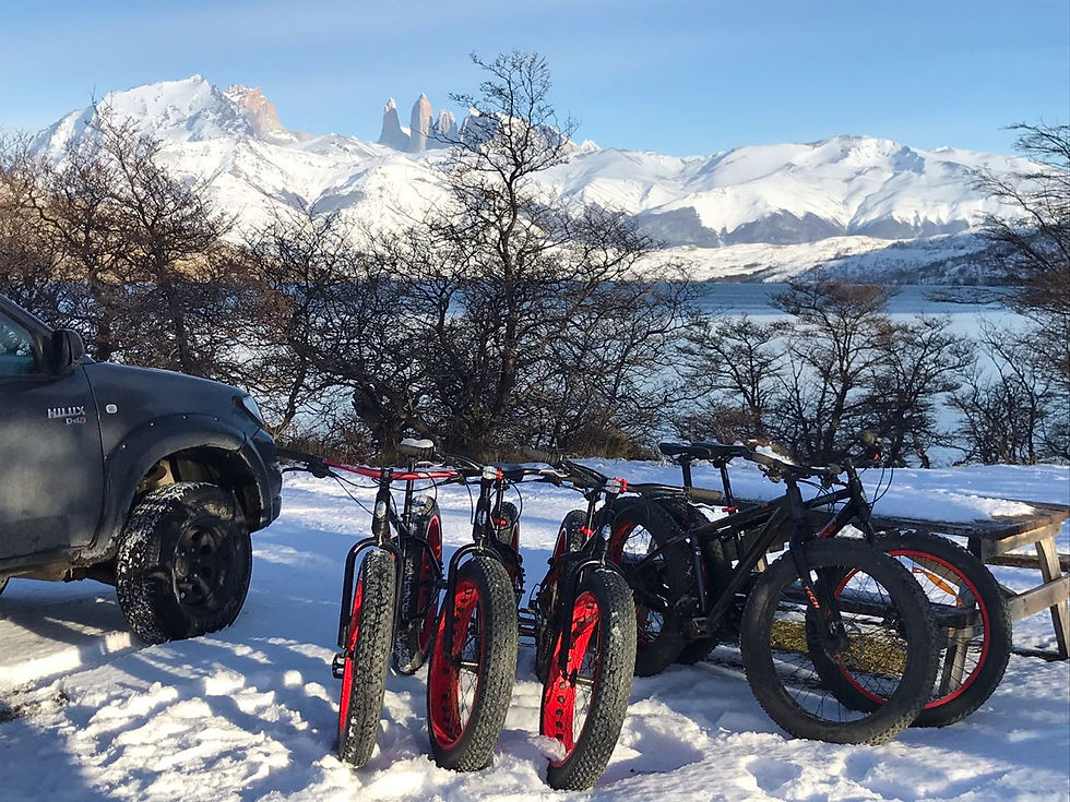 Thumbnail: WINTER MULTISPORT IN TORRES DEL PAINE (4 DAYS)