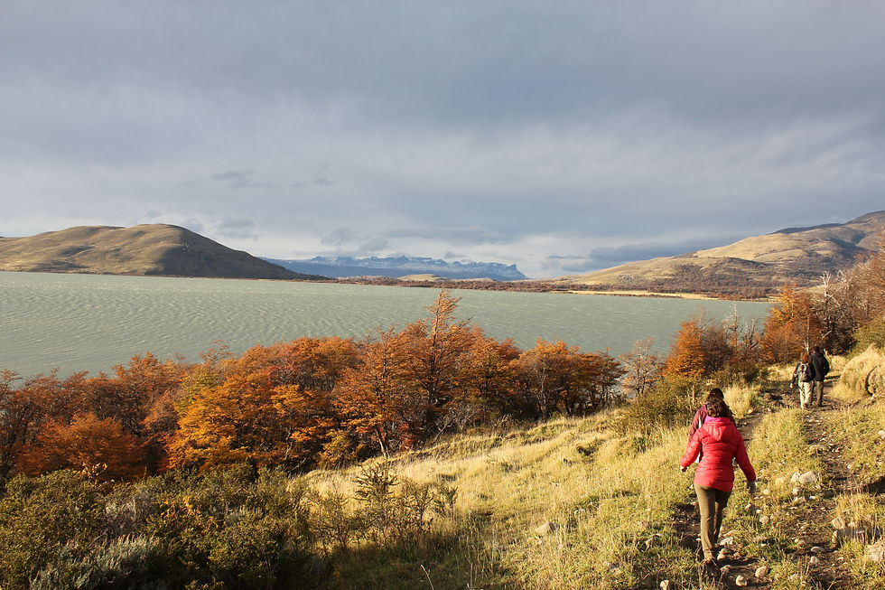 Thumbnail: MULTISPORT TORRES DEL PAINE (3 DAYS) - CHILE
