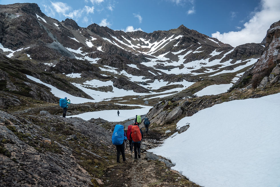 Thumbnail: DIENTES DE NAVARINO TREK (6 DAYS)