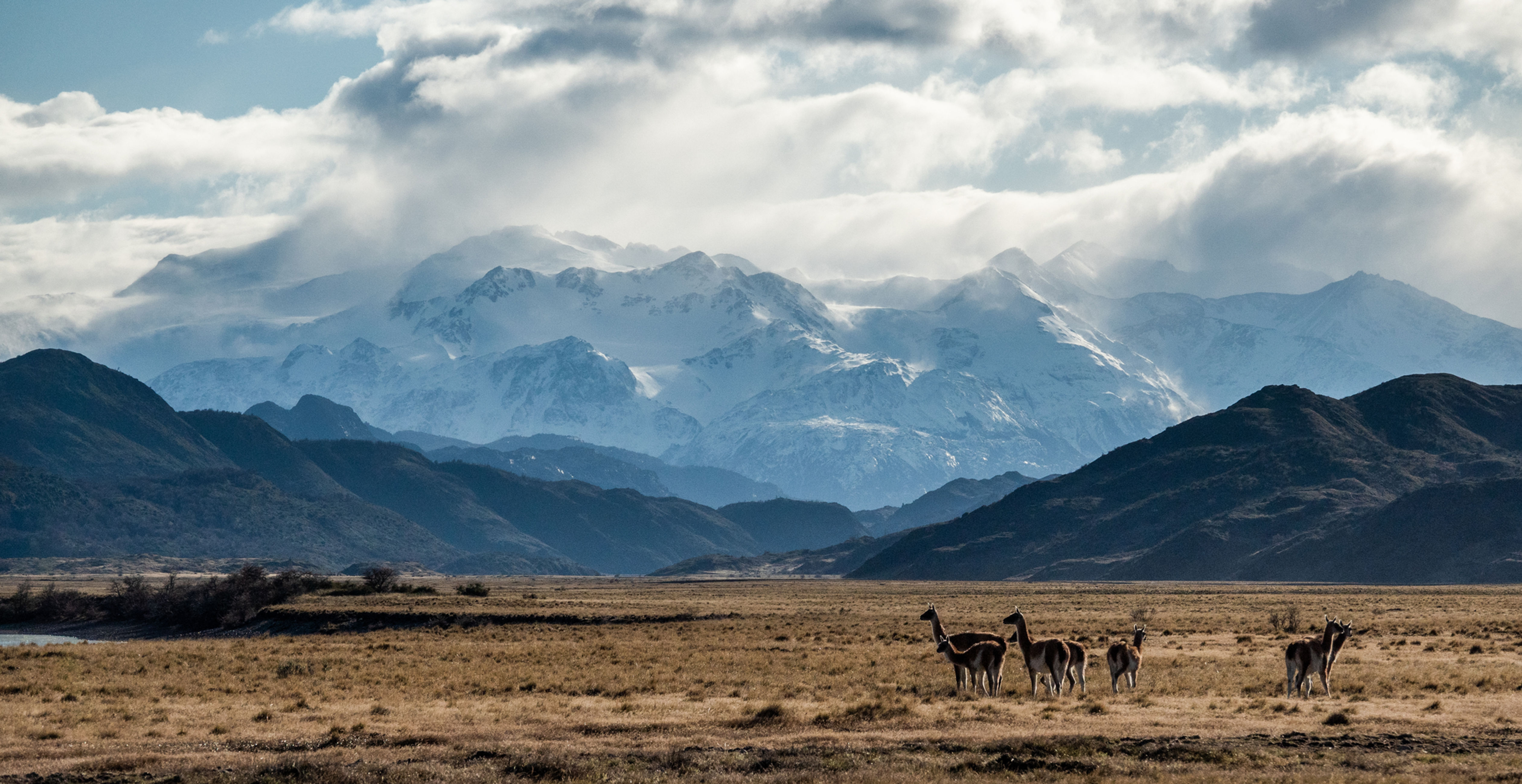 WINTER DISCOVERING TORRES DEL PAINE (3 DAYS )
