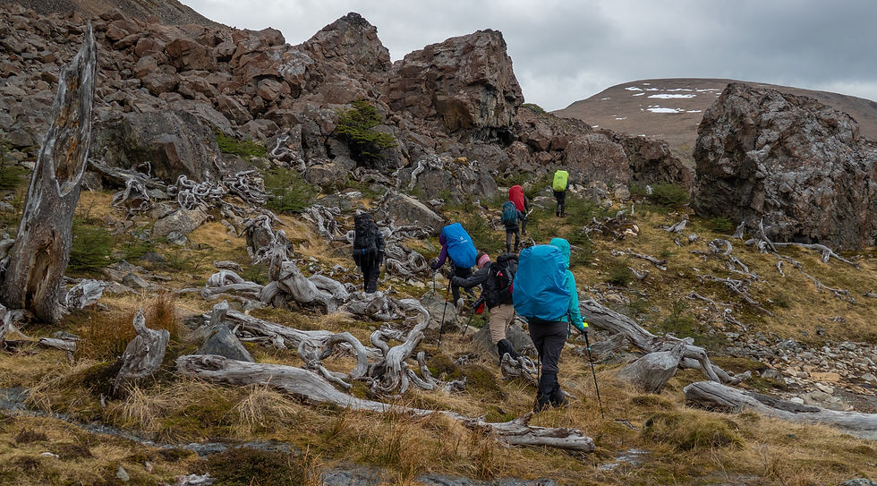 Thumbnail: DIENTES DE NAVARINO TREK (6 DAYS)