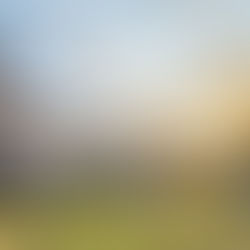 Щом сърцето заиграе