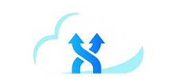 ShuffleSkies---White-Icon.png