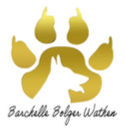 Shayla & Friends August Newsletter