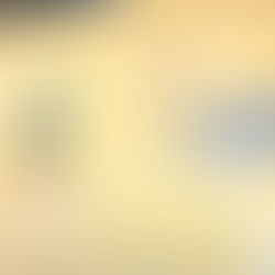 Flames of Victory: Firehawks Burn Feisty Wildcats