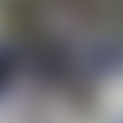 Mayhem Bounce Back with Convincing Win over Ohr Hatorah in Sarachek Tier II Opener