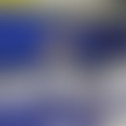 Wildcats Dominate Kushner in Sarachek Tier II Opener