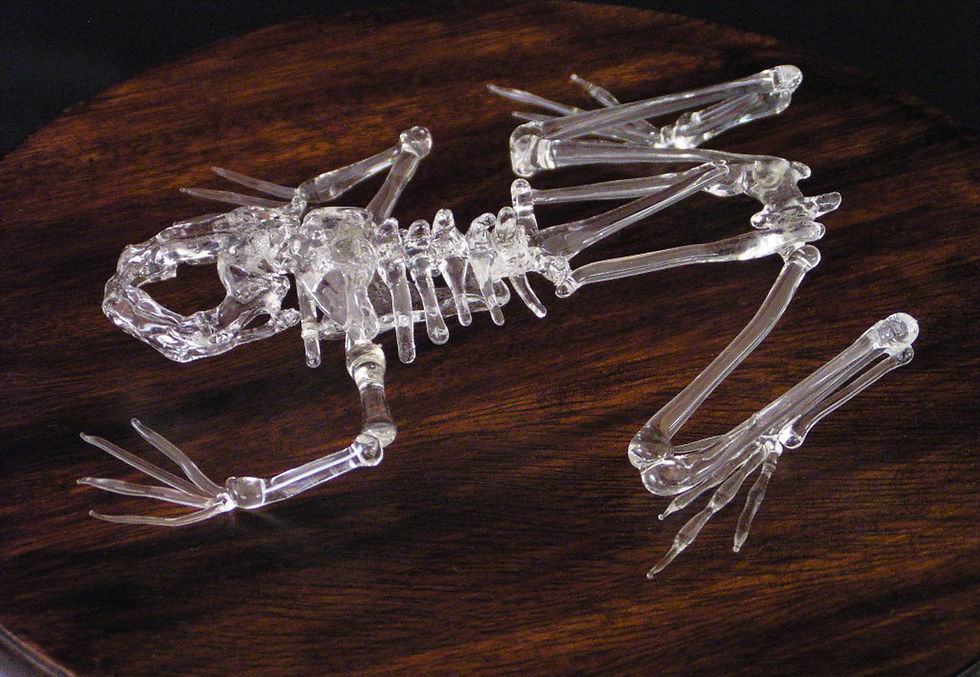 Detail of Lampworked Frog 2004
