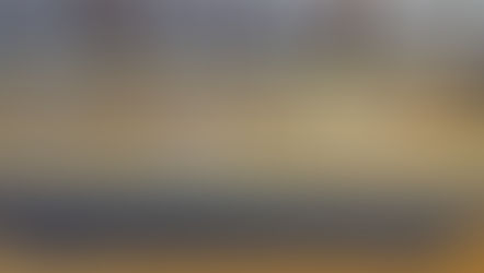 ~南極新聞について~