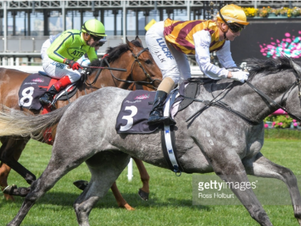 Morphettville Parks Preview: Saturday 21/10/17