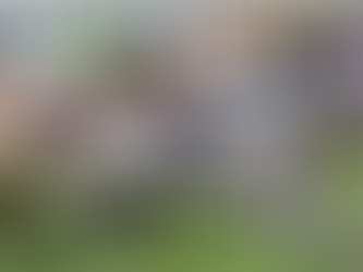 Morphettville Parks Preview: Saturday 21/10/17