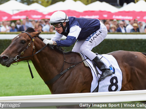 Caulfield Guineas Day Preview: Saturday 8/10/16