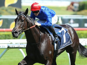 Racing Preview: Saturday 11/6/16