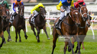 Morphettville Preview: Saturday 21/5/16