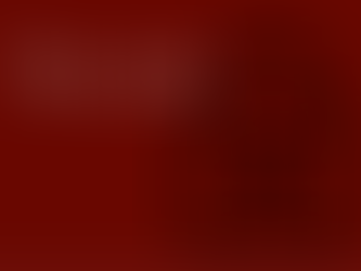 The Lock - Stradbroke Handicap Day 11/6/16