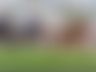 Racing Preview: Saturday 24/9/16