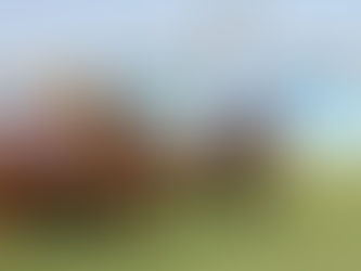 Midweek Racing Preview: Wednesday 8/6/16