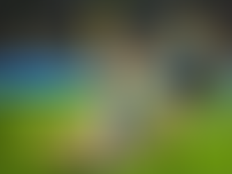 AFL Preview: Round 5