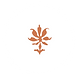 pictos_II.png
