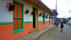 Salento - Centro (33)