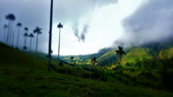 Salento_-_Vallée_de_Cocora_(7)