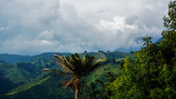 Salento - Centro (12)