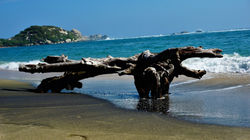 Tayrona (29)
