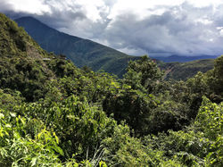 La Paz - Camino de la muerte (2)