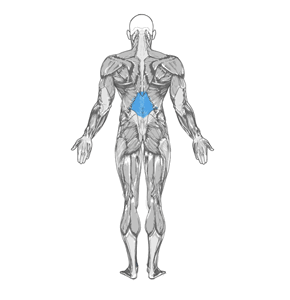 guide-4.gif