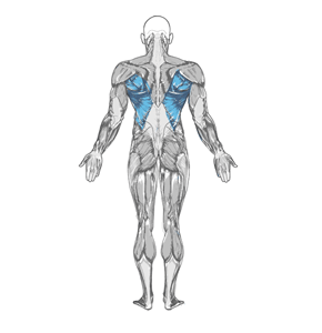 guide-3.gif