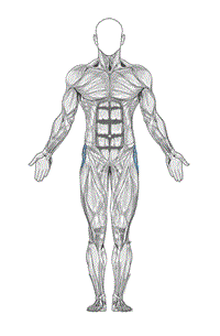 2020-01-10 05_52_31-Exercise Data (1).do