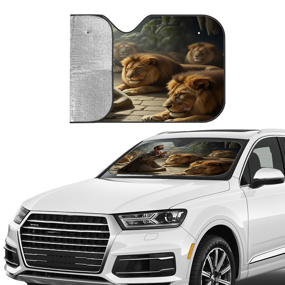 Thumbnail: Daniel and Lions Car Sunscreen