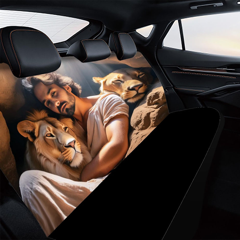 Thumbnail: Daniel & Lions Car Back Seat Cover